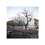 dailyPhoto7